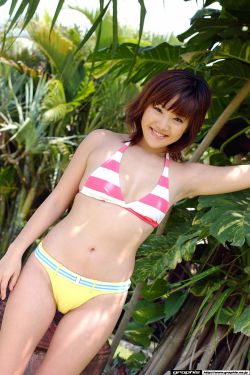 鸭之一族